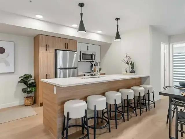 For Rent 1 Bedroom Apartment Calgary AB DS104470263