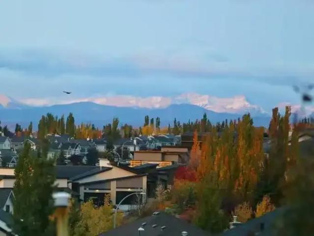 For Rent 1 Bedroom Apartment Calgary AB DS105654046