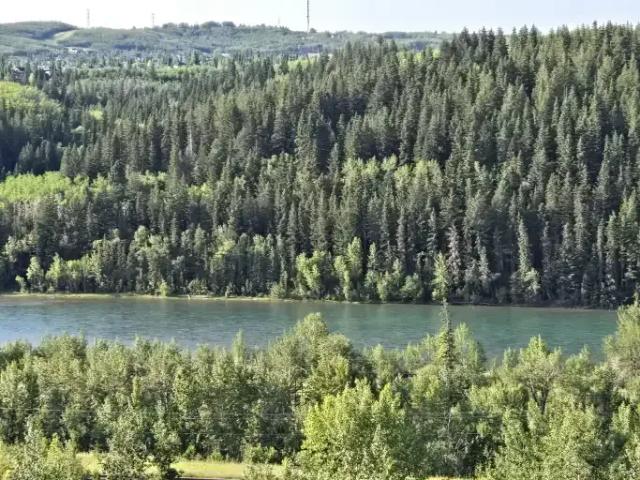 For Rent 1 Bedroom Apartment Calgary AB DS105150949