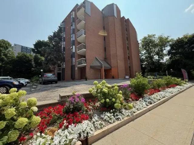 For Rent 1 Bedroom Apartment Cambridge ON DS104875884
