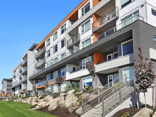 For Rent 1 Bedroom Apartment Campbell River BC DLS105046954