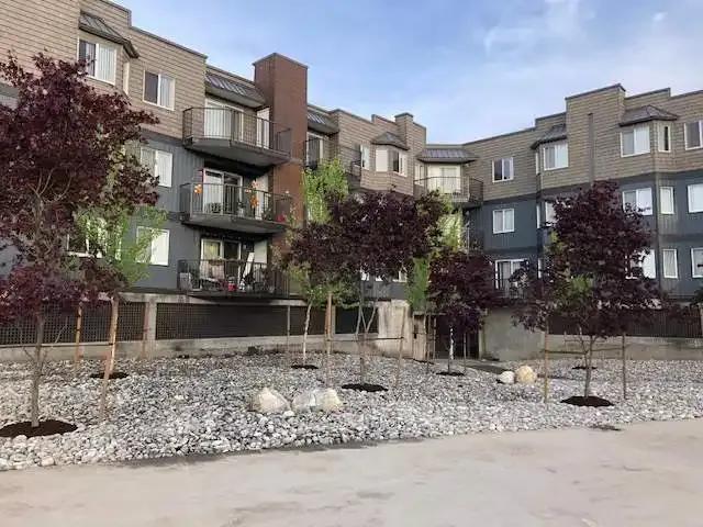 For Rent 1 Bedroom Apartment Chilliwack BC DS103694474