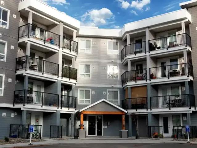 For Rent 1 Bedroom Apartment Comox BC DS105197977