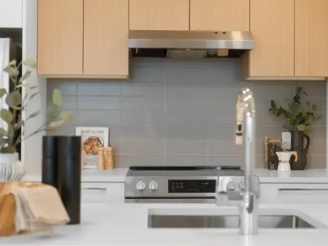 For Rent 1 Bedroom Apartment Coquitlam BC DS103354961