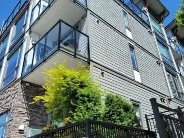 For Rent 1 Bedroom Apartment Coquitlam BC DS104840646