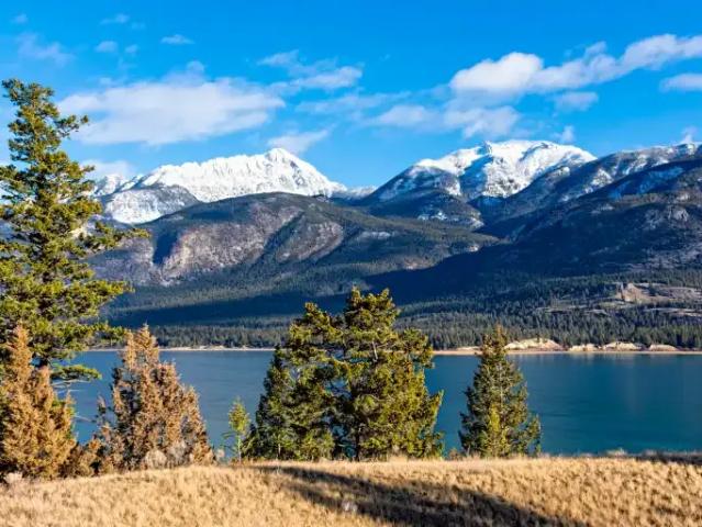 For Rent 1 Bedroom Apartment Cranbrook BC DS104991475