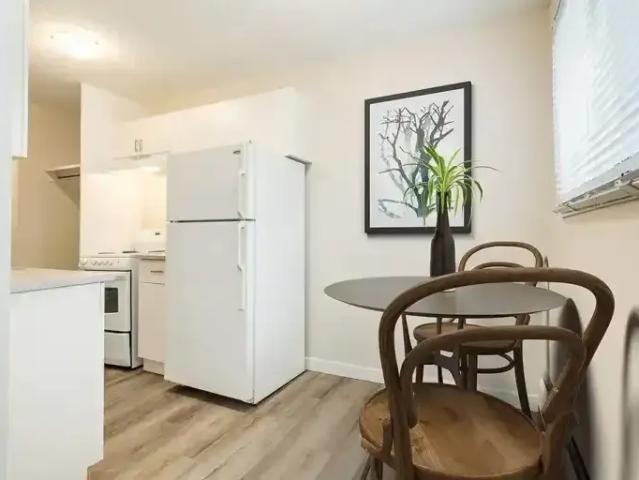 For Rent 1 Bedroom Apartment Edmonton AB DLS103839272