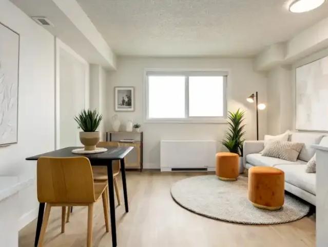 For Rent 1 Bedroom Apartment Edmonton AB DLS104841094