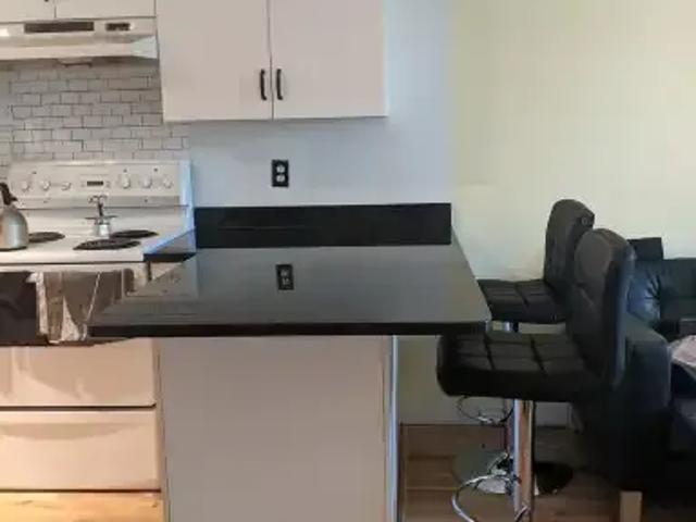 For Rent 1 Bedroom Apartment Edmonton AB DLS104940758