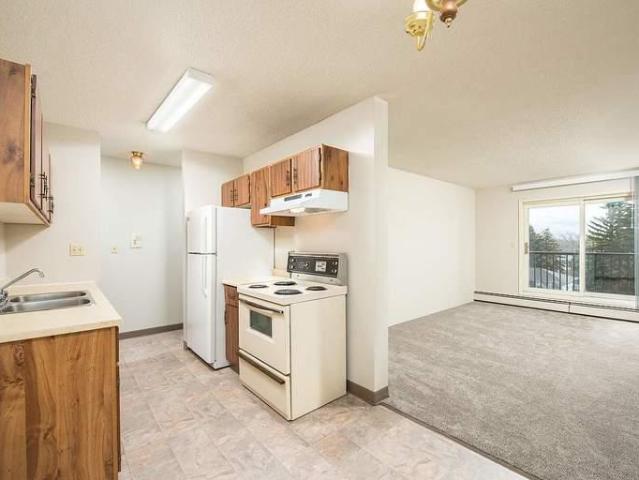 For Rent 1 Bedroom Apartment Edmonton AB DLS88460747
