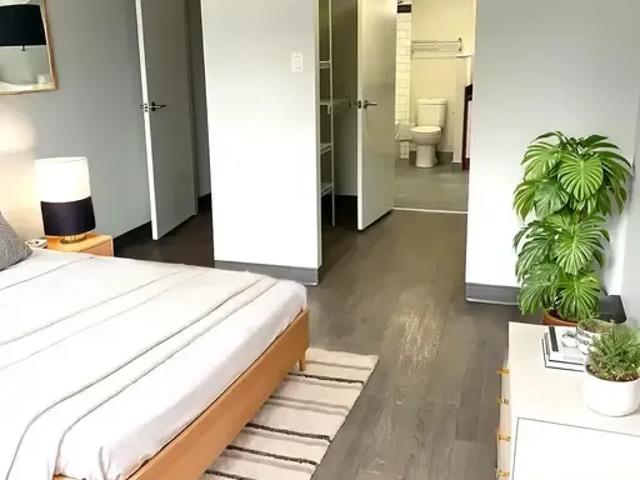 For Rent 1 Bedroom Apartment Edmonton AB DLS96588921