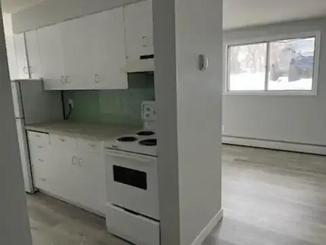For Rent 1 Bedroom Apartment Edmonton AB DLS97630440