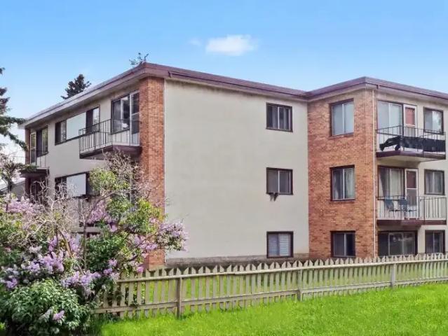 For Rent 1 Bedroom Apartment Edmonton AB DS104469846