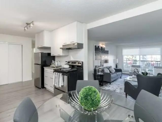 For Rent 1 Bedroom Apartment Edmonton AB DS104597238