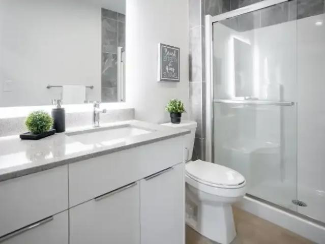 For Rent 1 Bedroom Apartment Edmonton AB DS104681827