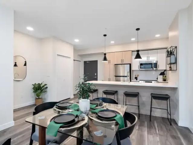 For Rent 1 Bedroom Apartment Edmonton AB DS104875893