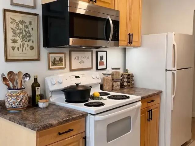 For Rent 1 Bedroom Apartment Edmonton AB DS104940406