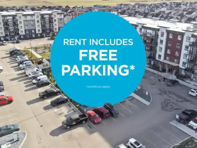 For Rent 1 Bedroom Apartment Edmonton AB DS104956421