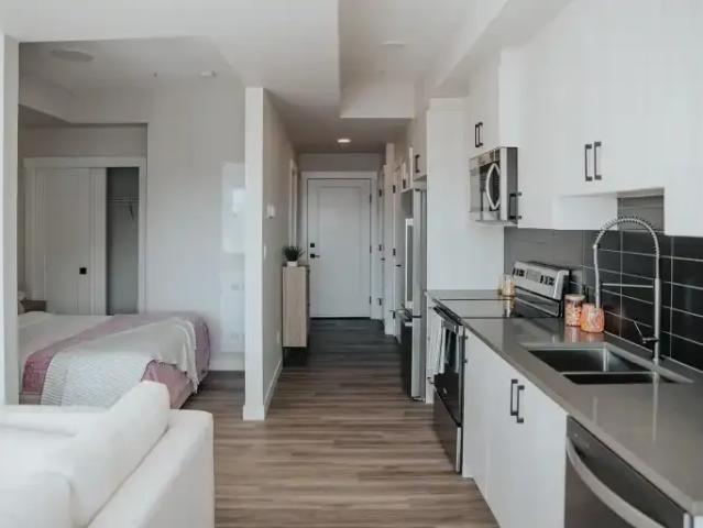 For Rent 1 Bedroom Apartment Edmonton AB DS104956913