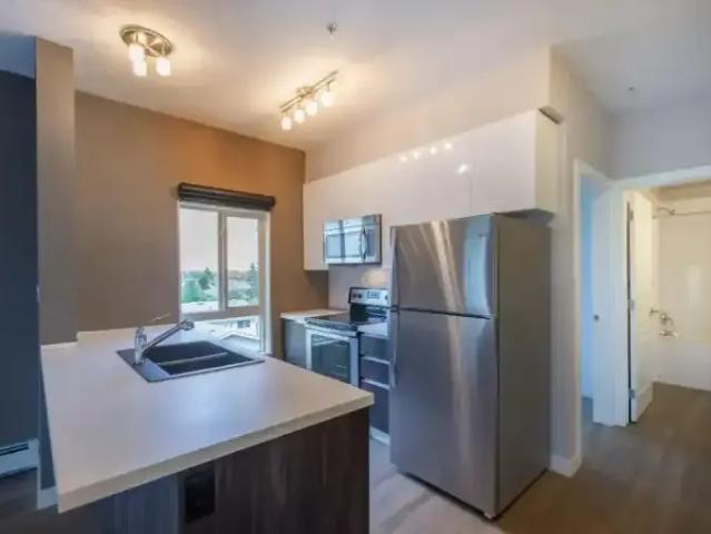 For Rent 1 Bedroom Apartment Edmonton AB DS105100402