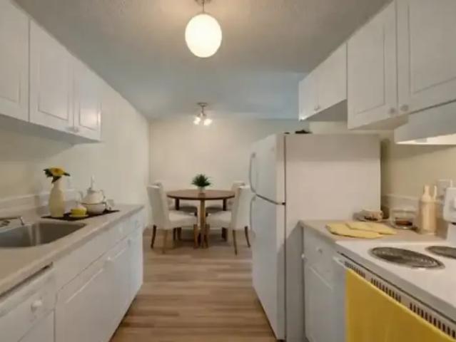 For Rent 1 Bedroom Apartment Edmonton AB DS105226286