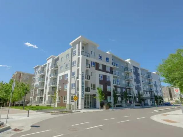 For Rent 1 Bedroom Apartment Edmonton AB DS105394294