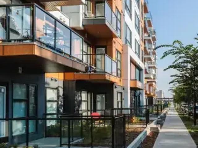 For Rent 1 Bedroom Apartment Edmonton AB DS105466607