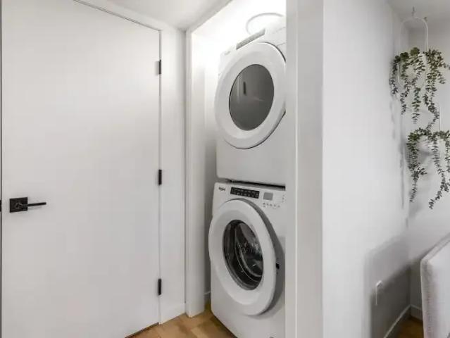 For Rent 1 Bedroom Apartment Edmonton AB DS105543258