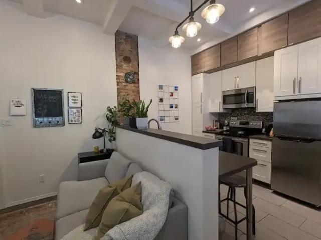 For Rent 1 Bedroom Apartment Edmonton AB DS105991657