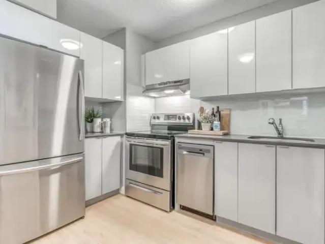 For Rent 1 Bedroom Apartment Edmonton AB DS100487275