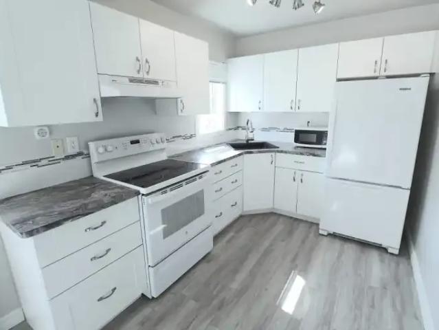 For Rent 1 Bedroom Apartment Edmonton AB DS101724188