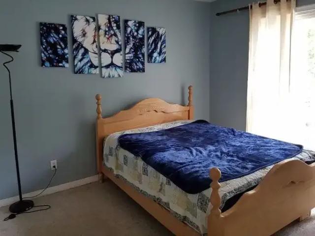 For Rent 1 Bedroom Apartment Edmonton AB DS102579030