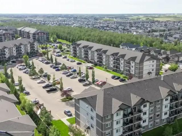 For Rent 1 Bedroom Apartment Edmonton AB DS103178471