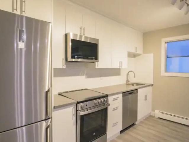 For Rent 1 Bedroom Apartment Edmonton AB DS103354884