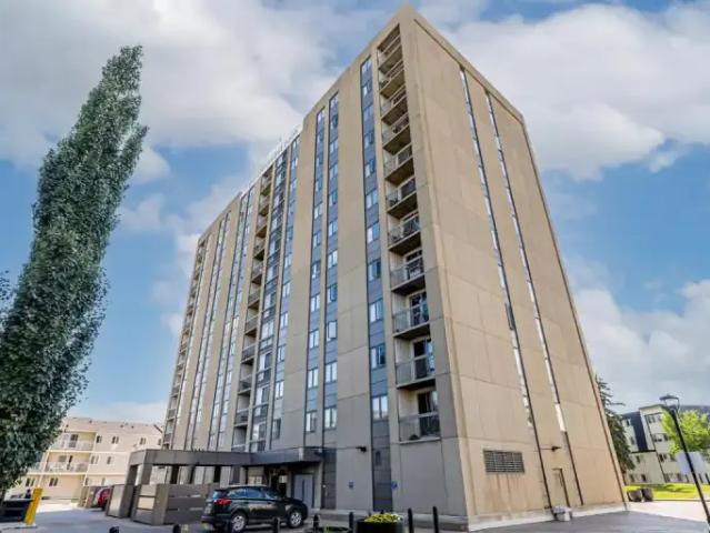 For Rent 1 Bedroom Apartment Edmonton AB DS103739715