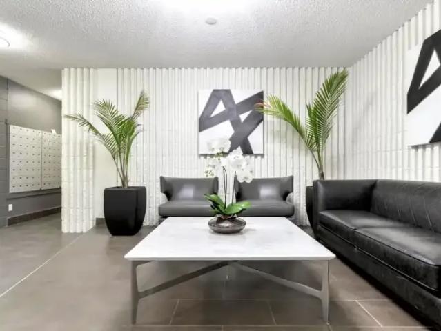 For Rent 1 Bedroom Apartment Edmonton AB DS103798261
