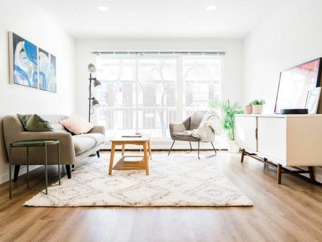 For Rent 1 Bedroom Apartment Edmonton AB DS95173818