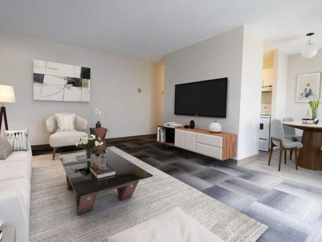 For Rent 1 Bedroom Apartment Edmonton AB DS96586567