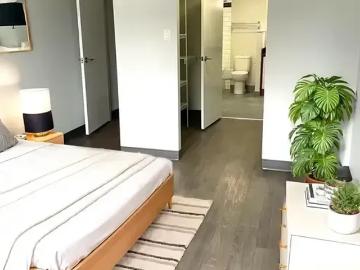 For Rent 1 Bedroom Apartment Edmonton AB DS96588921
