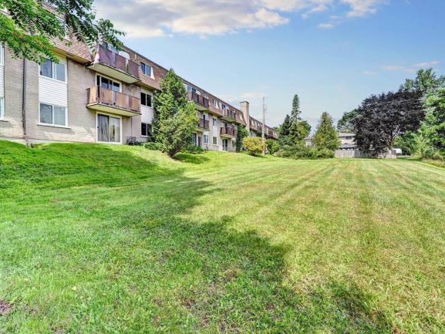 For Rent 1 Bedroom Apartment Fergus ON DS104258441