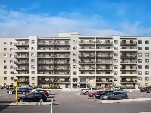 For Rent 1 Bedroom Apartment Guelph ON DS104179391