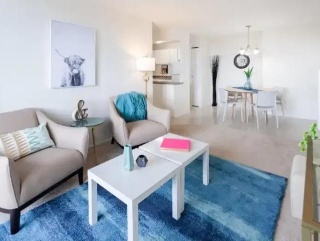 For Rent 1 Bedroom Apartment Gatineau QC DS103011296