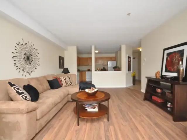 For Rent 1 Bedroom Apartment Halifax Nova Scotia DS103611726