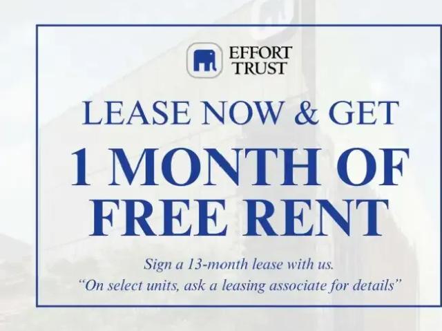 For Rent 1 Bedroom Apartment Hamilton ON DS104782600