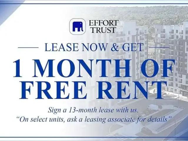 For Rent 1 Bedroom Apartment Hamilton ON DS105653905