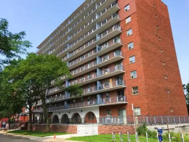 For Rent 1 Bedroom Apartment Hamilton ON DS101042058