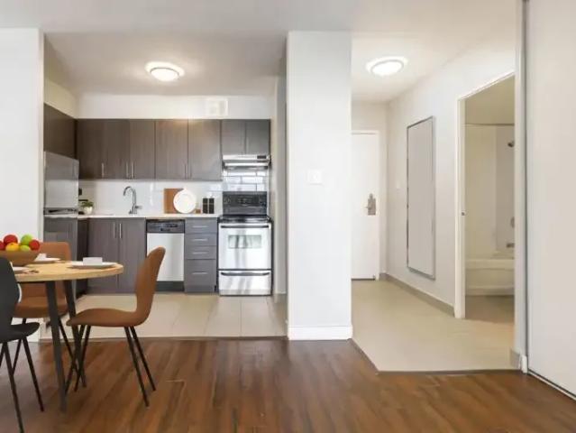 For Rent 1 Bedroom Apartment Hamilton ON DS103611775