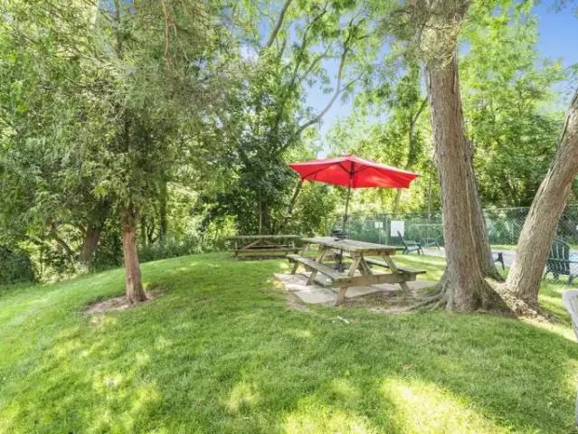 For Rent 1 Bedroom Apartment Hamilton ON DS103770590