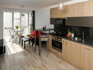 For Rent 1 Bedroom Apartment Hamilton ON DS96587062