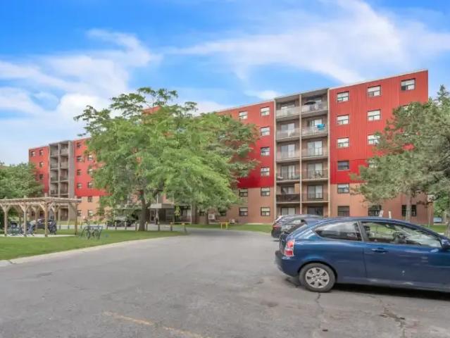 For Rent 1 Bedroom Apartment Kingston ON DS104400453